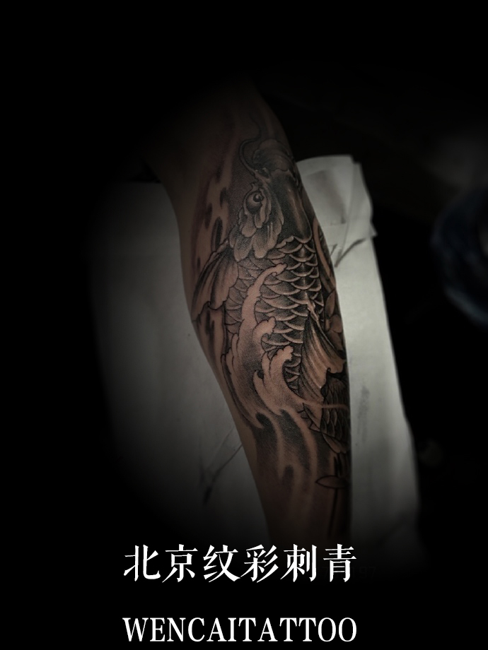 北京阳光的陆先生小臂鲤鱼纹身