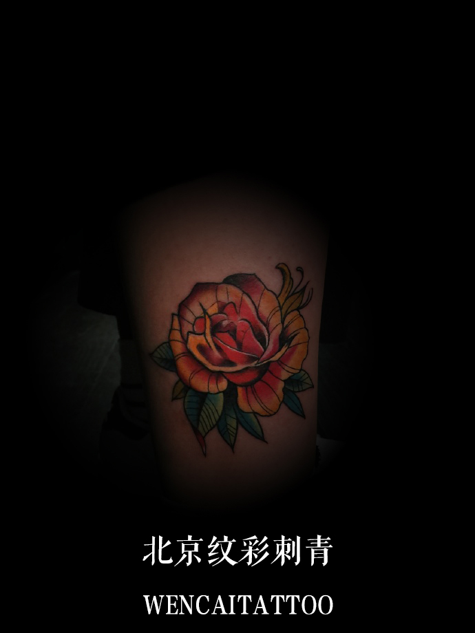 北京的台先生小腿艳丽玫瑰花纹身