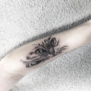 小臂黑灰猫咪纹身图案